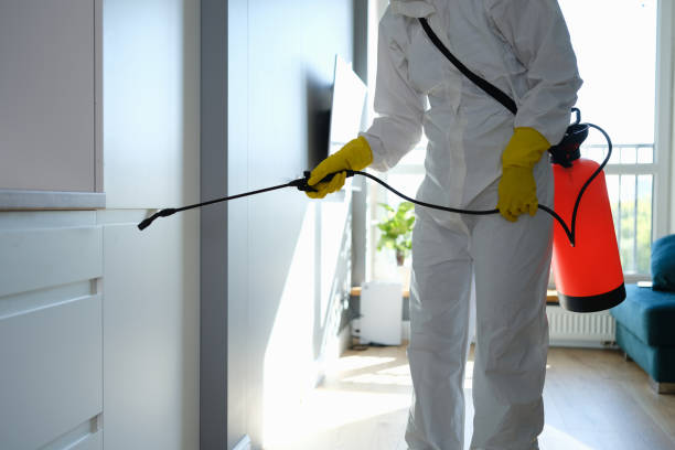 Best Mold Damage Repair  in Eagle Lake, MN