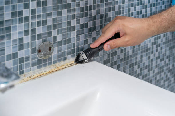 Best Toxic Mold Removal  in Eagle Lake, MN